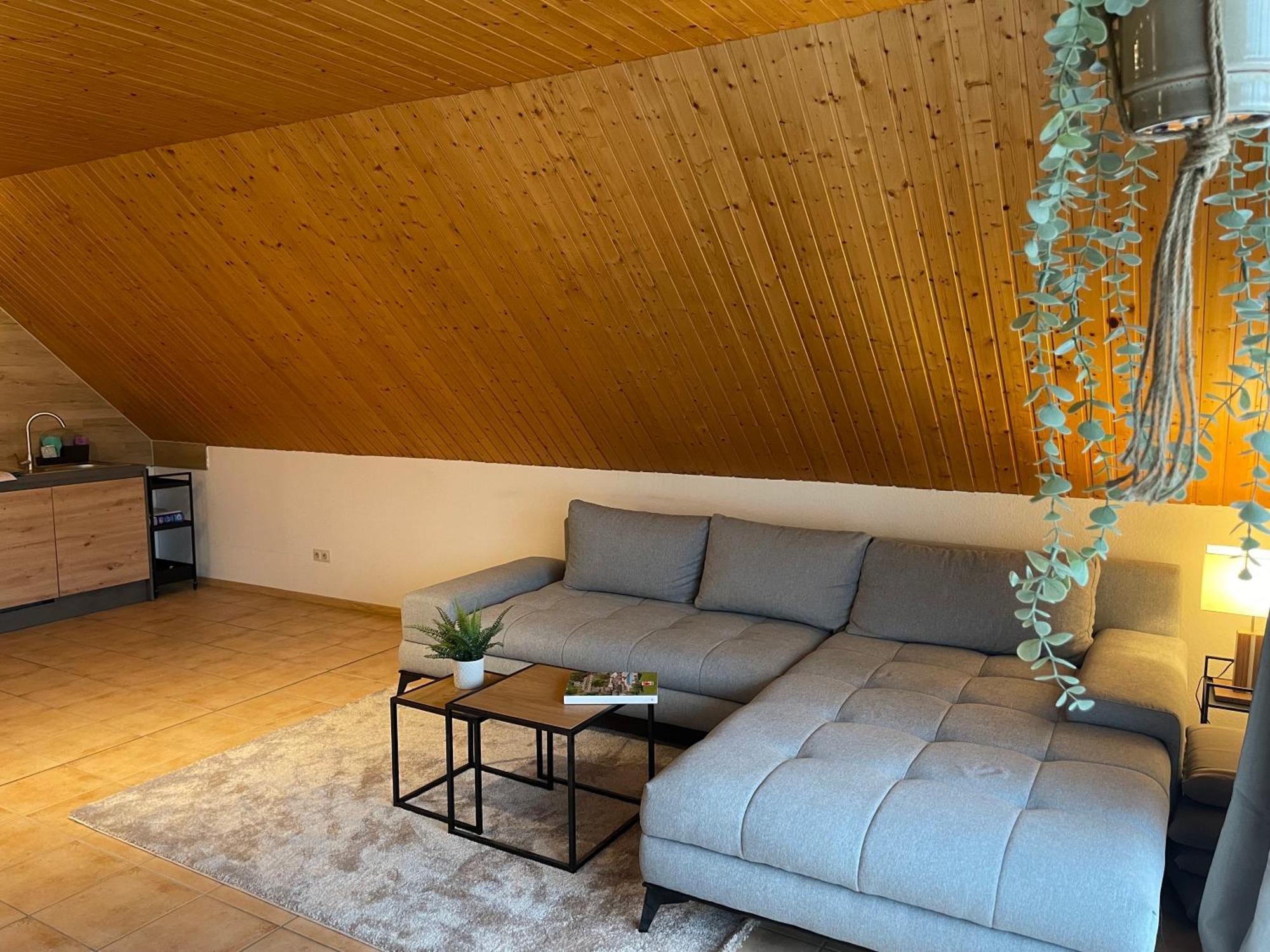Apartment Harzperle - Lautenthal Langelsheim Ngoại thất bức ảnh